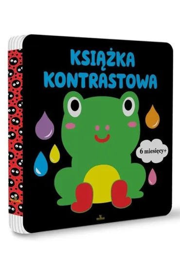 Ksi��ka kontrastowa 6+ - Ewelina  Chmieli�ska