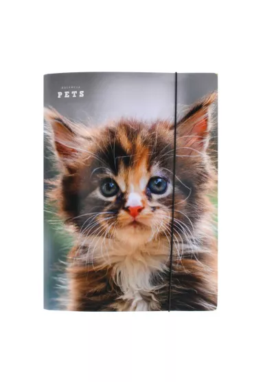 Pan Dragon Teczka z gumk� A4 Pets NR19 P-DR 970356