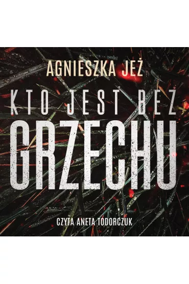 Audiobook Kto jest bez grzechu mp3 - Agnieszka Je�