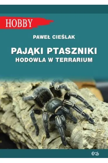 Paj�ki ptaszniki. Hodowla w terrarium - Pawe� Cie�lak