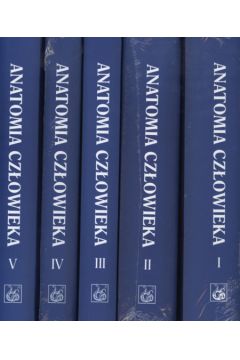 Anatomia cz�owieka t.1/5 - Bochenek Adam, Reicher Micha� - Adam Bochenek, Micha� Reicher