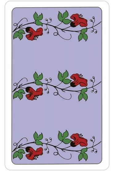 The Wonderland Tarot, karty w metalowym pude�ku - Chris Abbey, Morgana Abbey