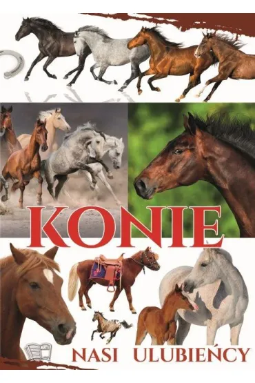 Konie. Nasi ulubie�cy