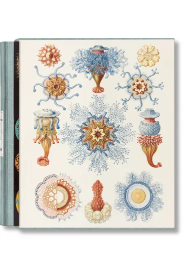 The Art and Science of Ernst Haeckel - Julia  Voss, Rainer  Willmann