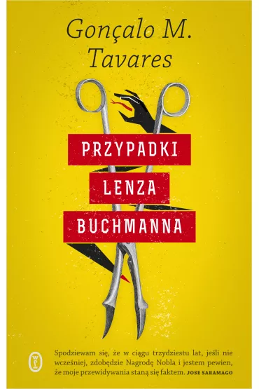 Przypadki Lenza Buchmanna - Goncalo M. Tavares