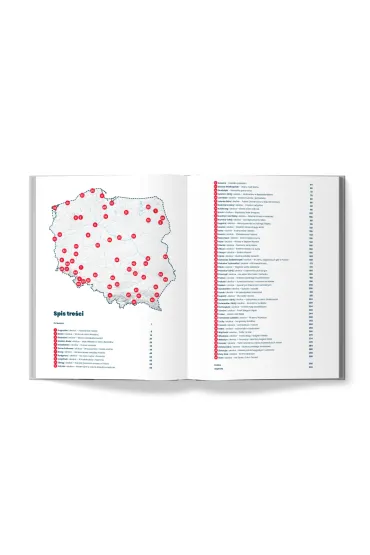 Polska. Miasta i ma�e miasteczka - Miko�aj Gospodarek