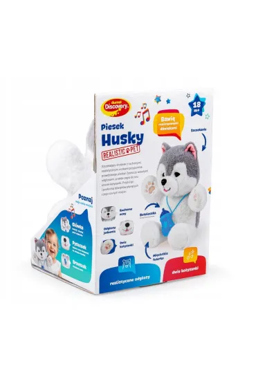 Piesek Husky Dumel