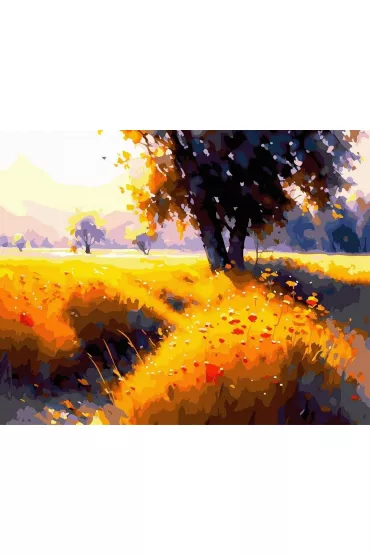 Twoje Hobby Malowanie po numerach + z�ota farba - Letnia cisza 40x50cm