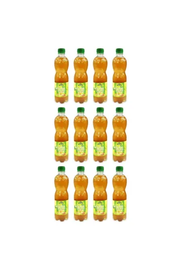 Bio Linie Kombucha herbata zielona Zestaw 12 x 500 ml Bio