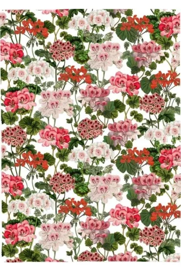 R�cznik kuchenny - Pelargonia