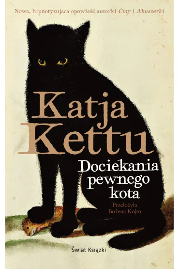 eBook Dociekania pewnego kota mobi epub - Katja Kettu