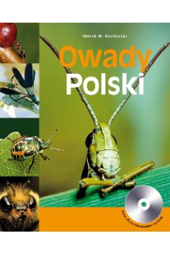 eBook Owady Polski pdf