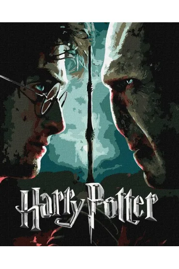 Ideyka Malowanie po numerach - Harry i Voldemort metal