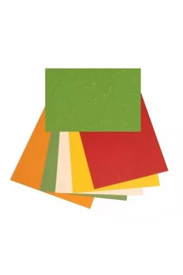 Galeria Hobby Karton wyt�aczane r�e 220g, 25x35cm, 5 arkuszy