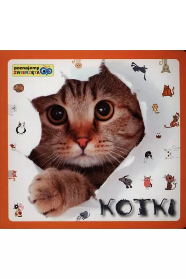 Poznajemy zwierz�ta - Kotki