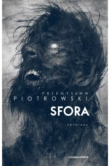 Sfora. Igor Brudny. Tom 2 - Przemys�aw Piotrowski