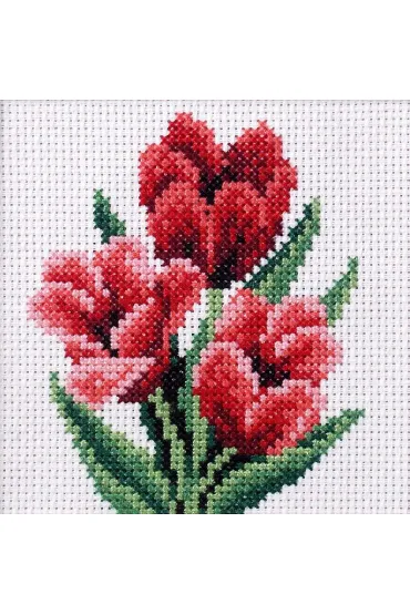 Haft krzy�ykowy - Tulipany Anex-bis