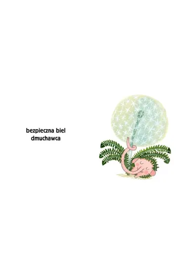 Pomelo i kolory - Benjamin Chaud, Ramona B�descu