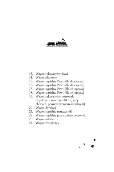 Mi�dzy �wiat�em a cieniem. Magiczny ekspres. Tom 2 - Anca Sturm