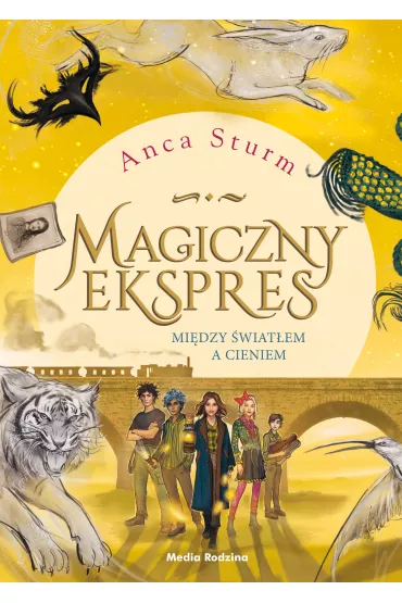Mi�dzy �wiat�em a cieniem. Magiczny ekspres. Tom 2 - Anca Sturm
