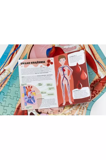 Puzzle Cia�o cz�owieka. Poznawaj, baw si�, odkrywaj Wilga Play