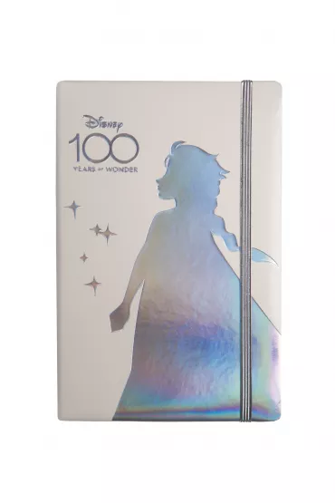 Coolpack Opal Collection Notes A5 Disney 100 z gumk� linia 80 kartek