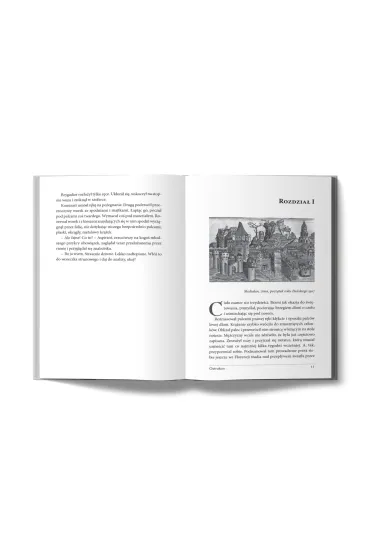 Ostrakon. Da Vinci i Kopernik - spotkanie, o kt�rym Watykan wola�by zapomnie� - Krzysztof P. Czy�ewski