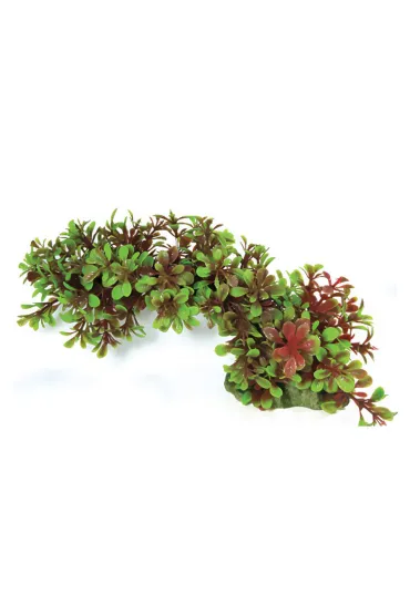 AquaNatura Ro�lina, do dekoracji akwarium, zielono-czerwona, plastikowa, 23 cm, w kszta�cie �uku
