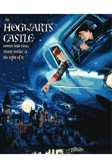 Ideyka Malowanie po numerach - Harry Potter lot samochodem 40x50cm