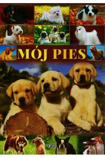 M�j pies