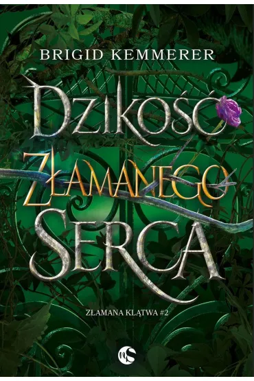 Dziko�� z�amanego serca. Seria Z�amana kl�twa. Tom 2 - Brigid Kemmerer