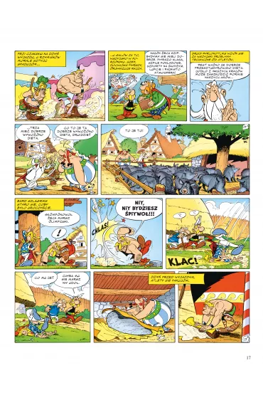Asteriks na szpilach olimpijskich. Asteriks po �l�sku. Album 12 - Ren� Goscinny