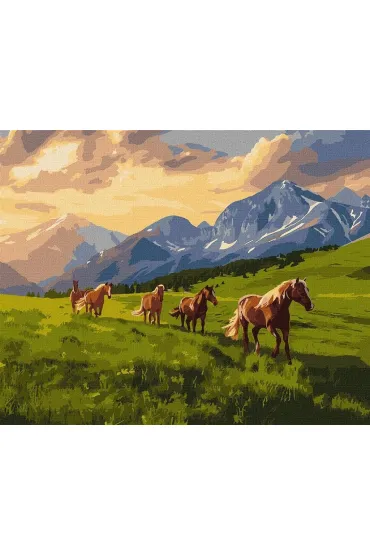 Ideyka Malowanie po numerach - Wolny duchem 40x50cm