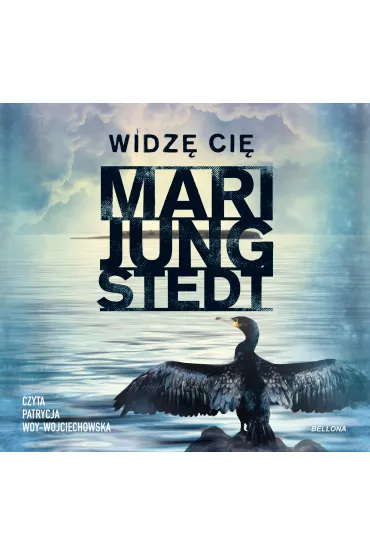 Audiobook Widz� ci� mp3 - Mari Jungstedt