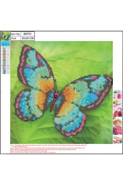 Centrum Mozaika diamentowa 5D. Butterfly 89751 30 x 30 cm