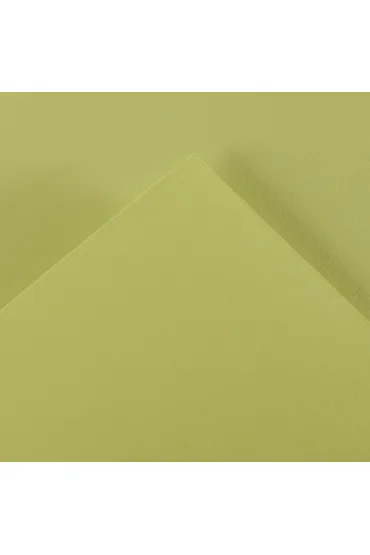 Canson Karton ozdobny 150g, 25 arkuszy, 500x650 mm