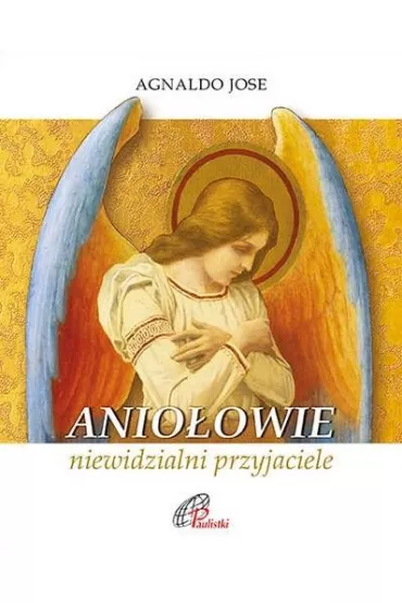 Anio�owie, niewidzialni przyjaciele - Agnaldo Jose