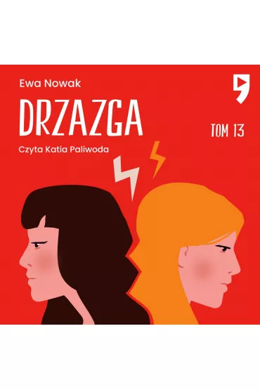 Audiobook Drzazga. Tom 13 mp3 - Ewa Nowak