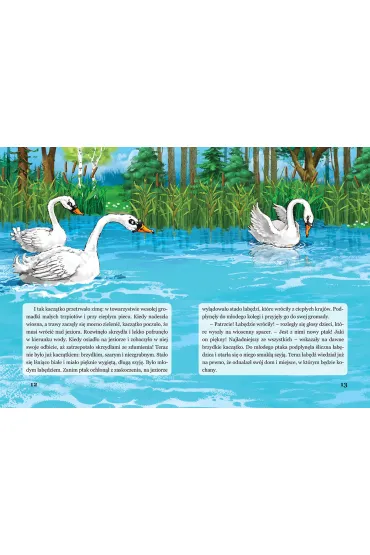 Brzydkie kacz�tko - Hans Christian Andersen