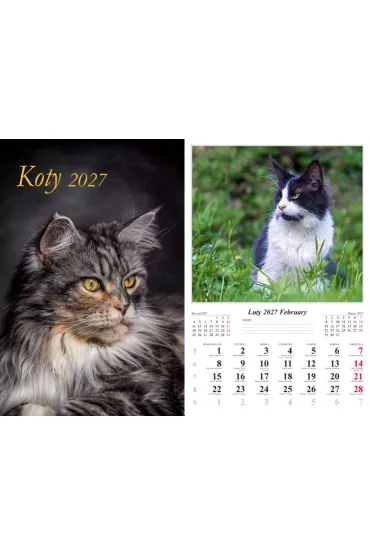 Kalendarz 2027 �cienny 7-k Koty