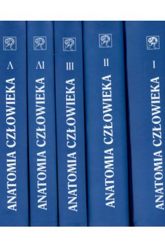 Anatomia cz�owieka t.1/5 - Bochenek Adam, Reicher Micha� - Adam Bochenek, Micha� Reicher