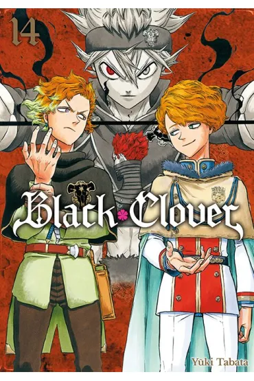 Black Clover. Tom 14 - Yuki Tabata