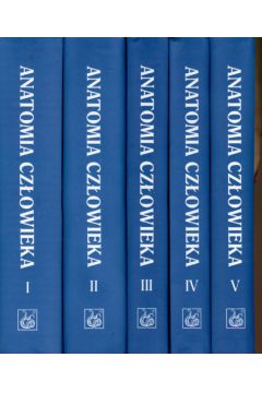 Anatomia cz�owieka t.1/5 - Bochenek Adam, Reicher Micha� - Adam Bochenek, Micha� Reicher