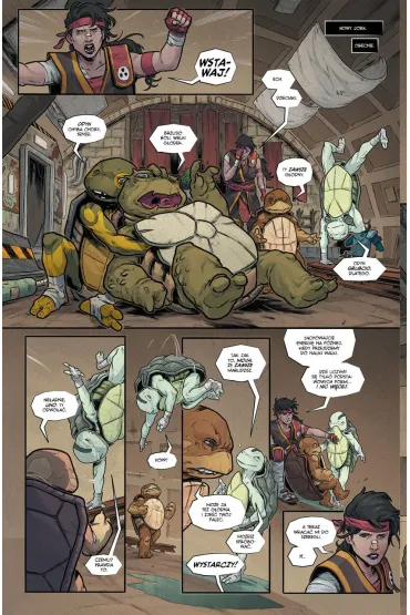 Wojownicze ��wie ninja: ostatni ronin - nieznane lata - Kevin Eastman, Tom  Waltz
