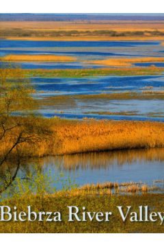 Biebrza River valley
