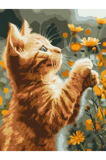 Ideyka Malowanie po numerach - Rudy puszystek 30x40cm