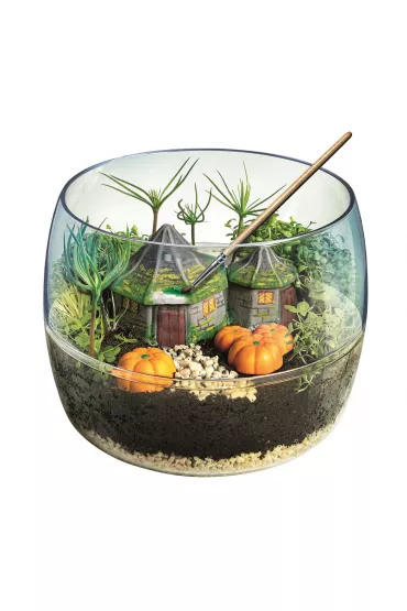 Harry Potter terrarium 19248