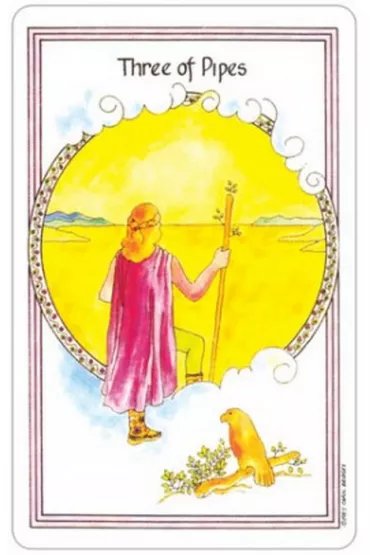 Medicine Woman Tarot, karty do wr�enia - Carol Bridges