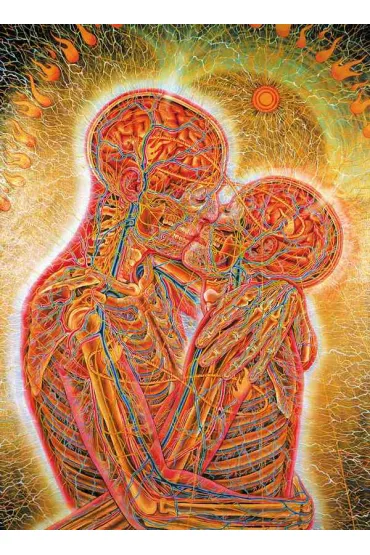 �wi�te zwierciad�a. Sztuka wizyjna Alexa Greya - Alex Grey, Ken Wilber, Carlo McCormick
