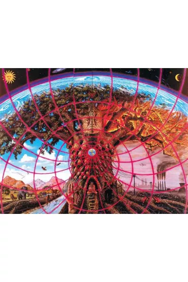 �wi�te zwierciad�a. Sztuka wizyjna Alexa Greya - Alex Grey, Ken Wilber, Carlo McCormick